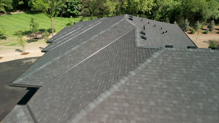 Best Solar Panel Roofing Installation  in Queen City, TX